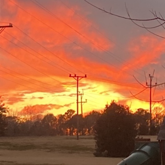 Meet your Posher, Abby - Picture 1 of 1